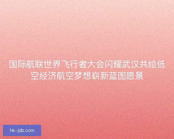 国际航联世界飞行者大会闪耀武汉共绘低空经济航空梦想崭新蓝图愿景